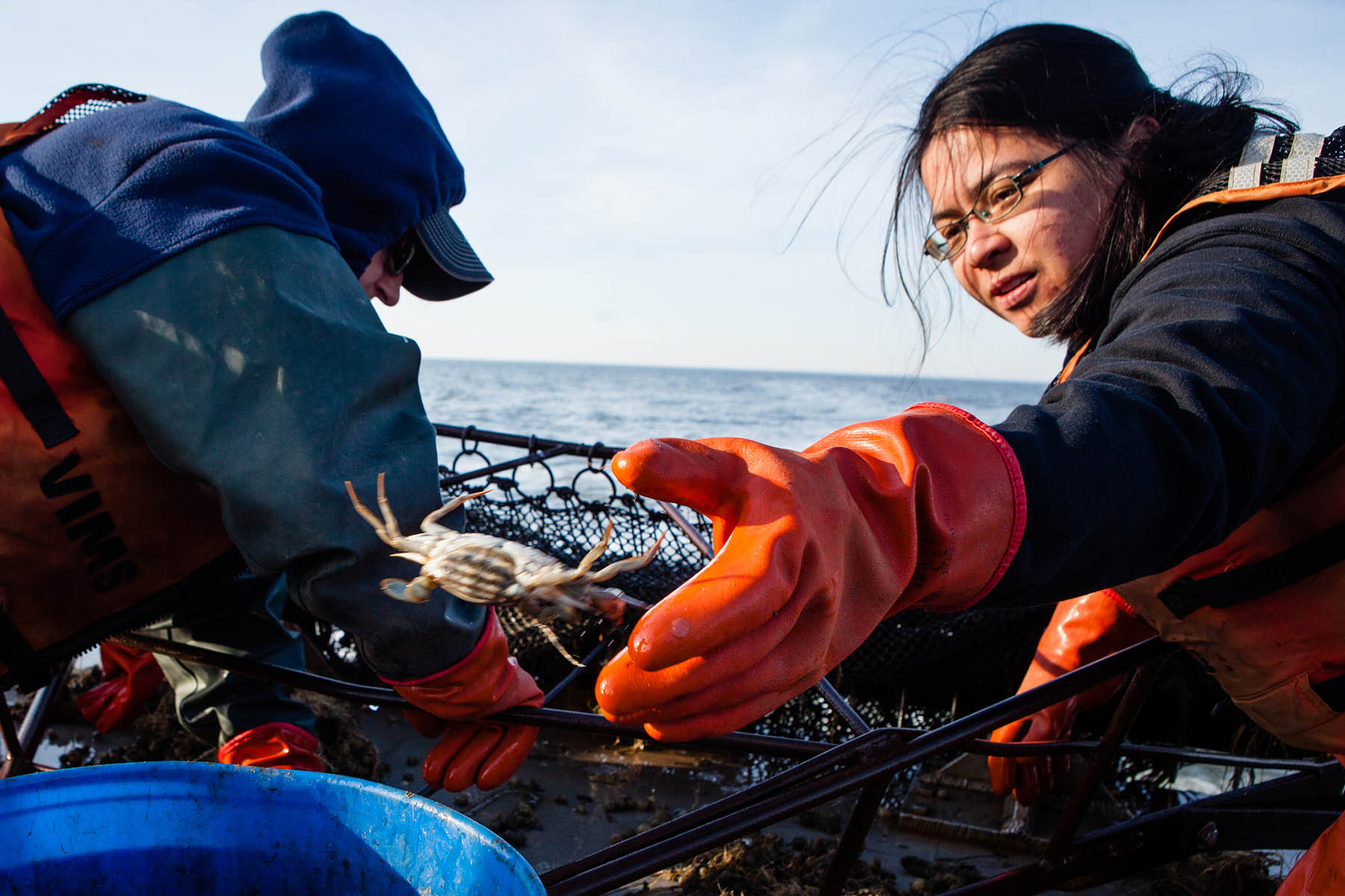 Coronavirus deliver one-two punch to Bay’s blue crab industry