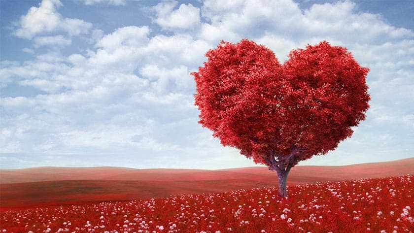 Henrico seeks homemade VD cards for LTC residents